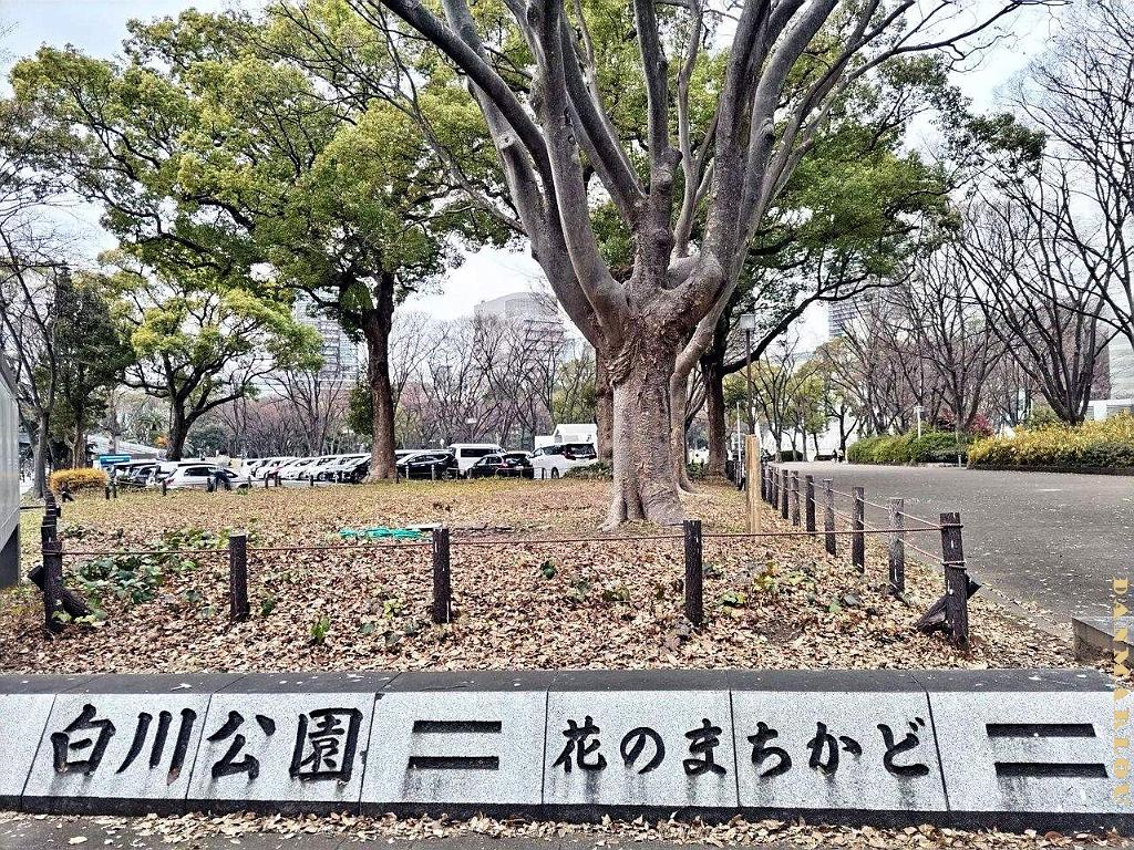 NAGOYA - Centre Ville et Vie Quotidienne - Janvier 2024 - 054.JPG